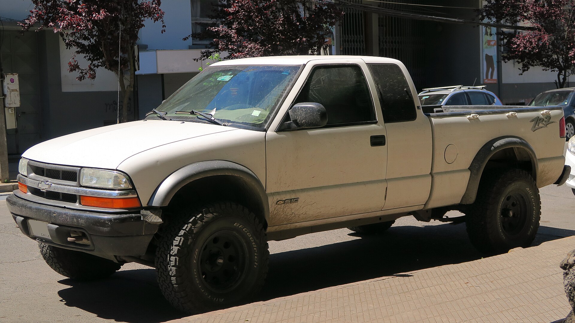 RL GNZLZ from Chile · CC BY-SA 2.0