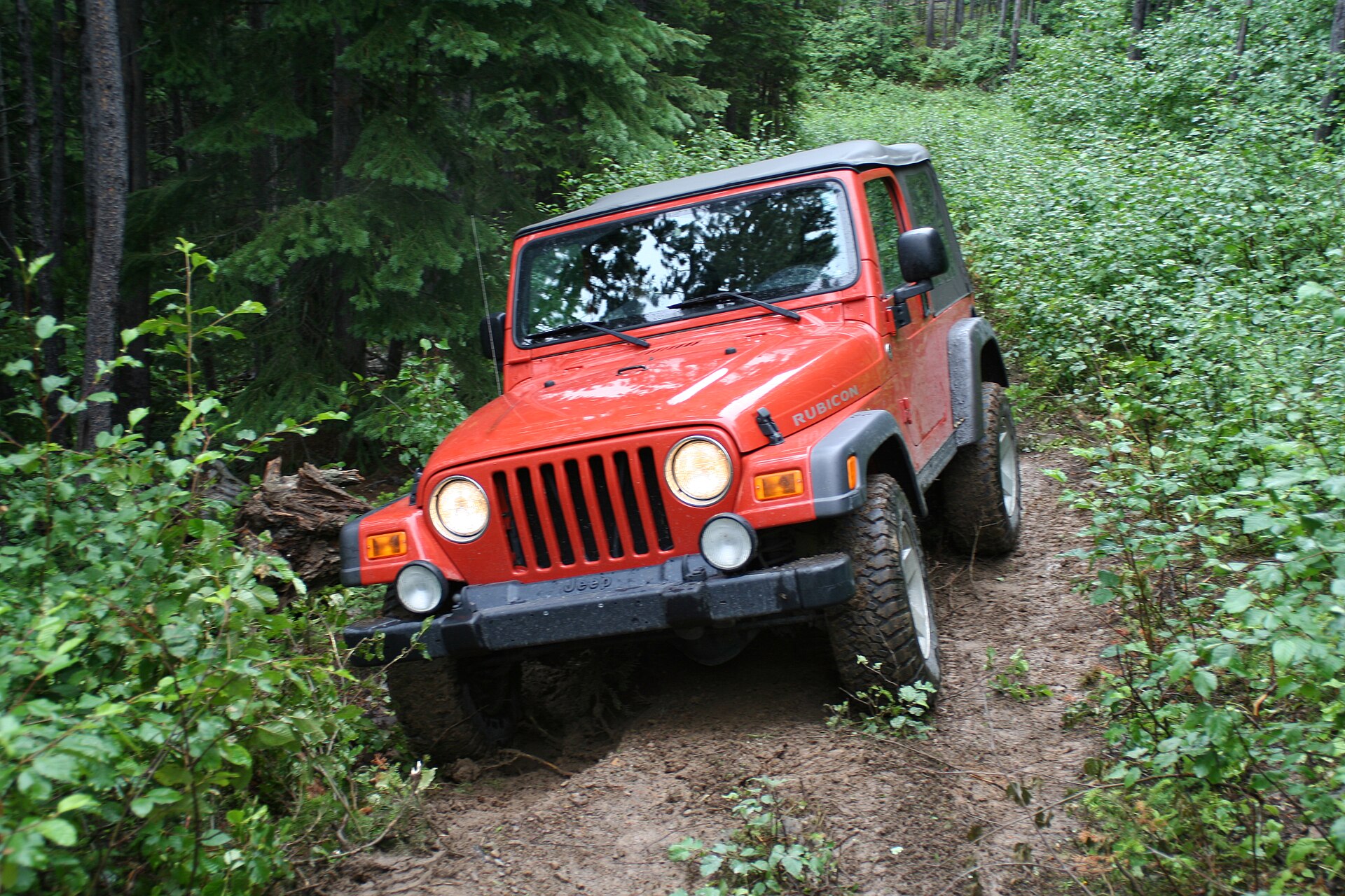Wrangler TJ Rubicon — photograph
